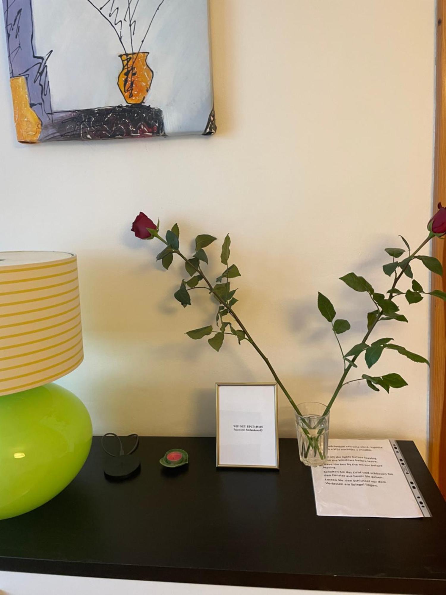 2,5 Izbovy Apartman V Ruzinove S Parkovanim Zdarma Bratislava Luaran gambar